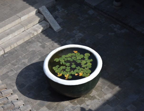 Pingyaopot